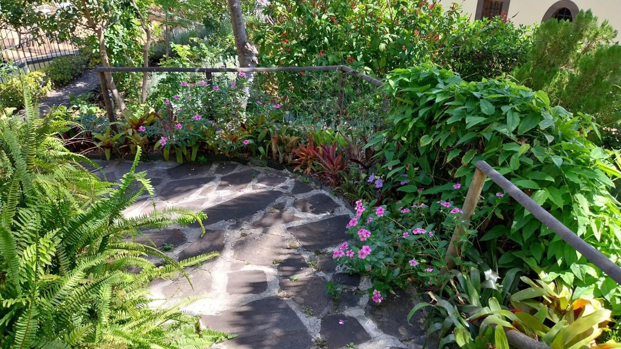 Vila Calaca Funchal  Exteriér fotografie