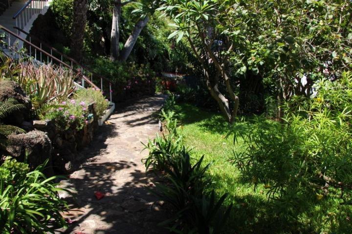 Vila Calaca Funchal  Exteriér fotografie