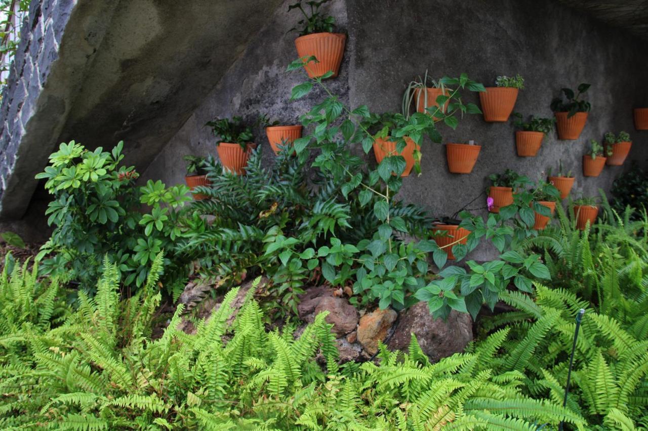 Vila Calaca Funchal  Exteriér fotografie